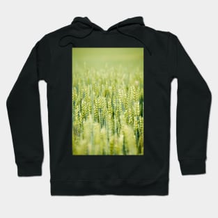 Common Wheat Hoodie